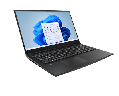 17.3" FHD Gaming Notebook